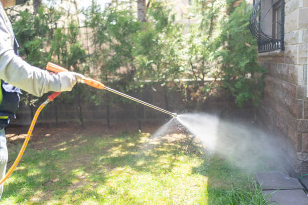 Professional Pest Control in Lake Kerr, FL