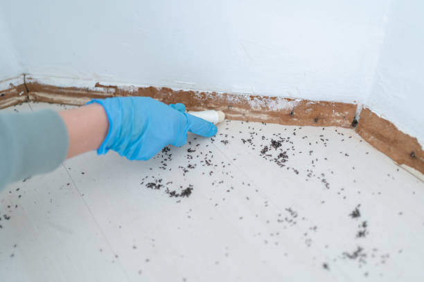Best Pest Prevention Services  in Lake Kerr, FL